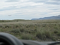 Patagonie 156